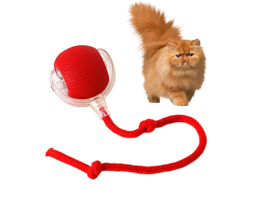 2025 Ny ankomst Miljövänlig Interaktiv Leksak för Husdjur med Svans Automatisk Teaser för Katt Hund Trendiga Husdjursprodukter